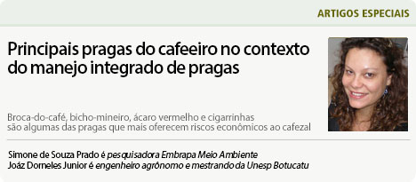 Poda dos cafeeiros Conilon e Robusta após período de colheita - Jornal Dia  de Campo